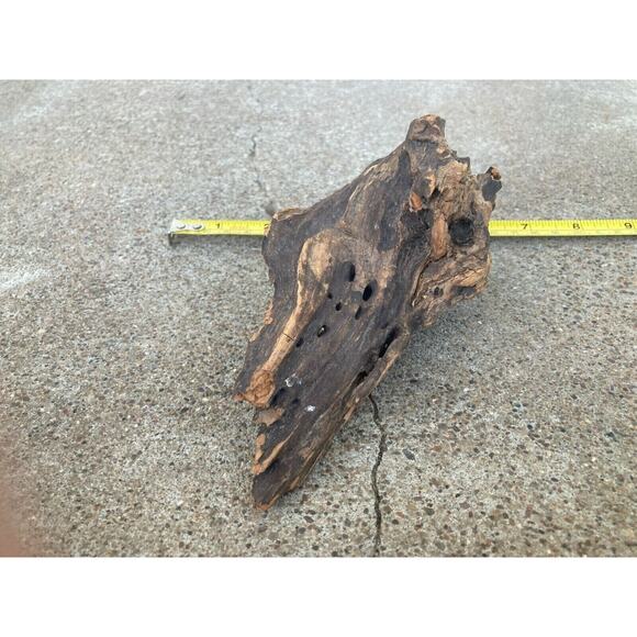 Ohio River Driftwood 6.25"x3.5"x3" - Picture 3 of 3
